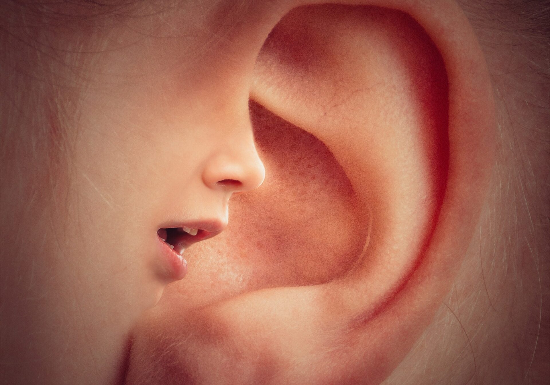 Quanto conta il tone of voice?