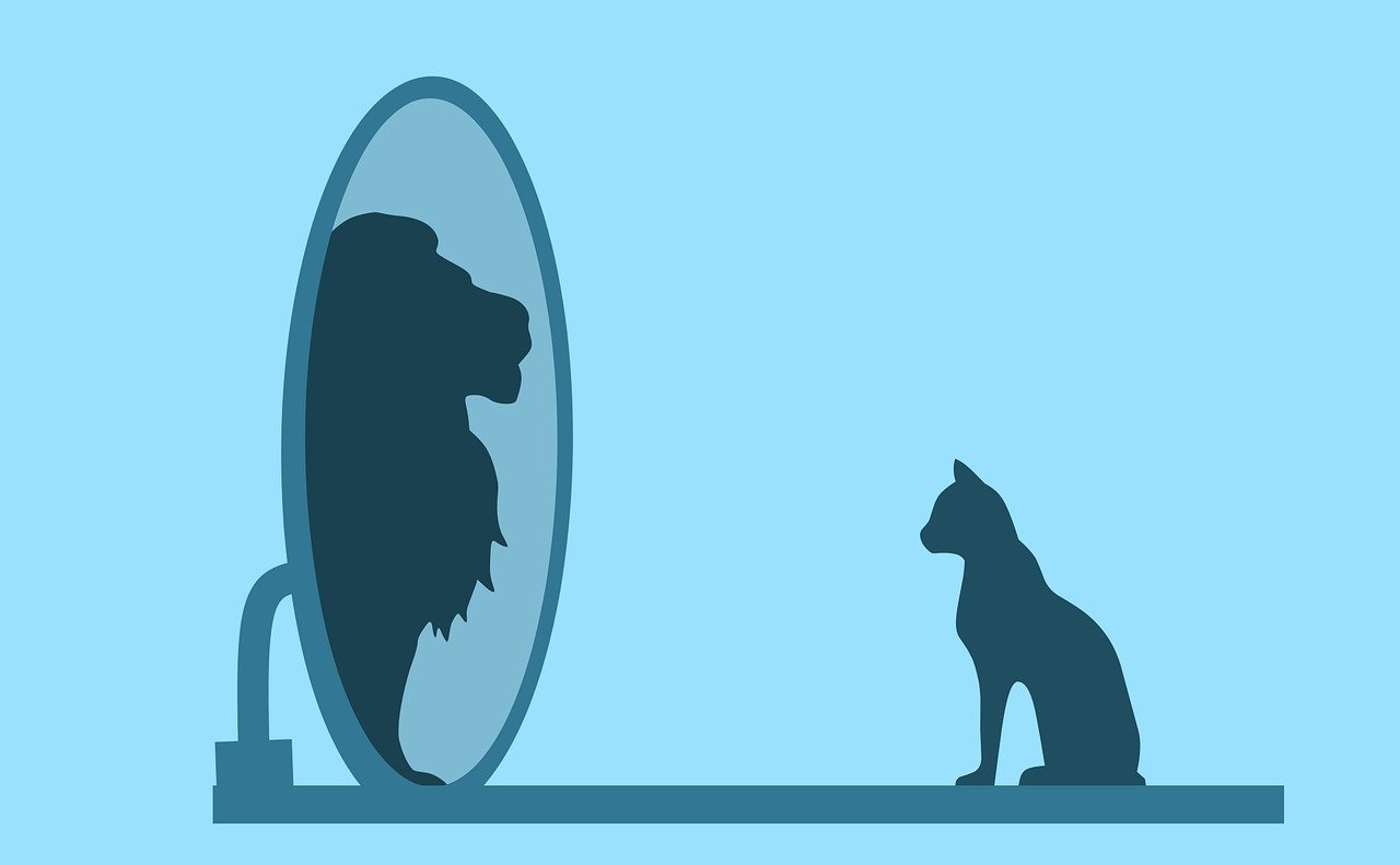 Come creare un profilo efficace